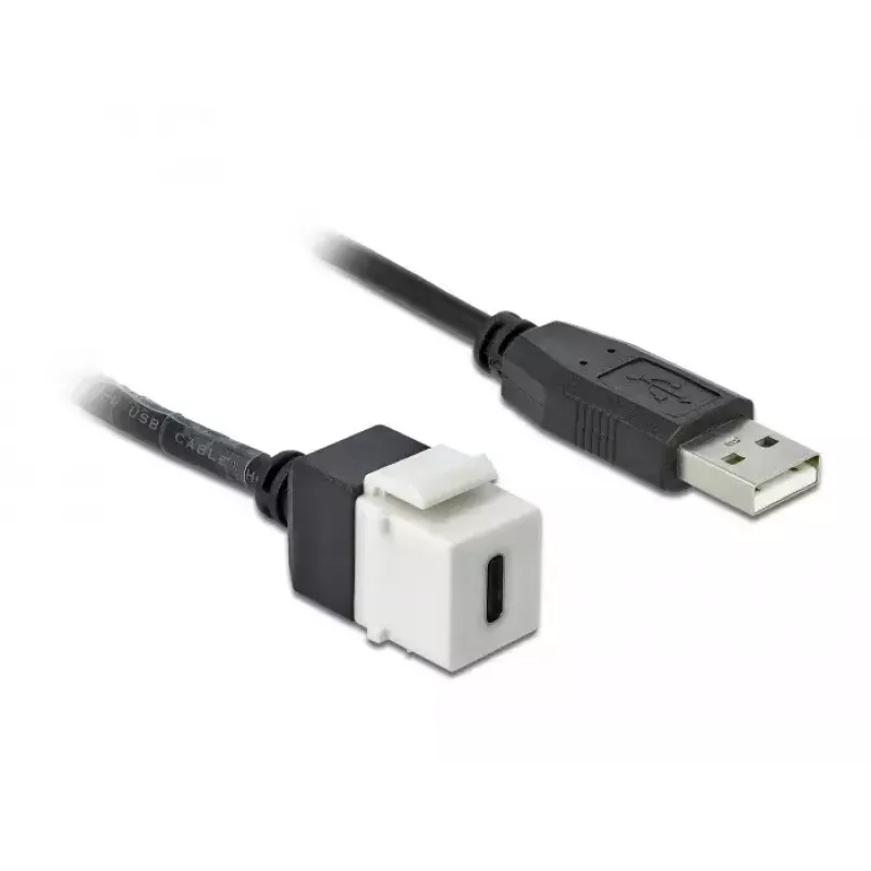 Keystone Moodul DeLOCK 86382 Lame Must Valge USB C
