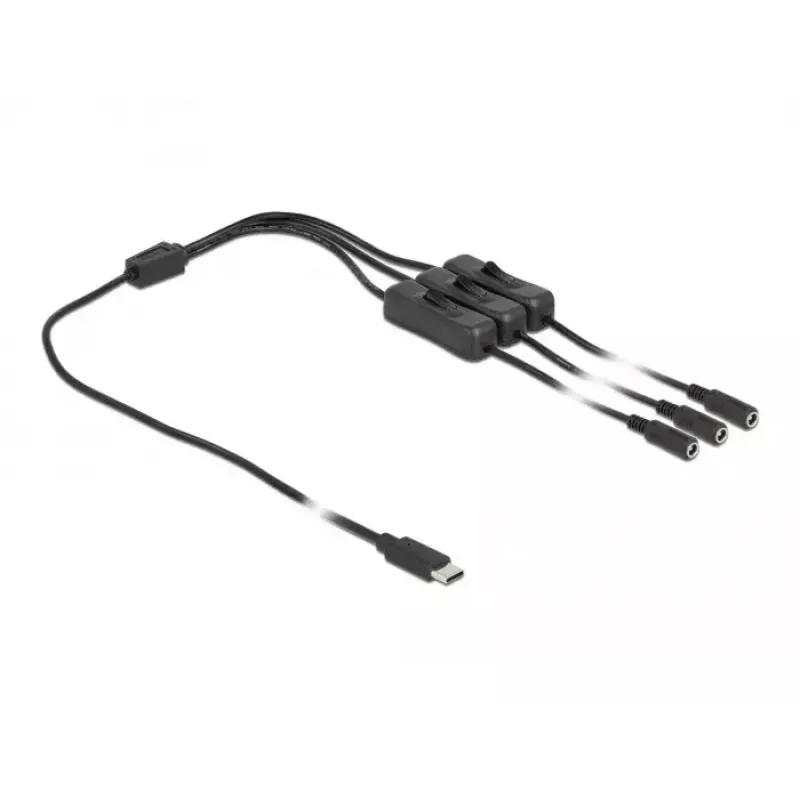 USB USB-C isane-3 x DC 5,5 x 2,1 mm emaskaabel DeLOCK 86801