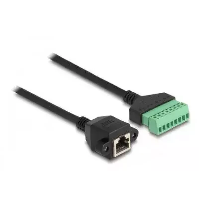 DeLOCK RJ45 kaabel Cat.6 emane klemmliistu adapter 2m