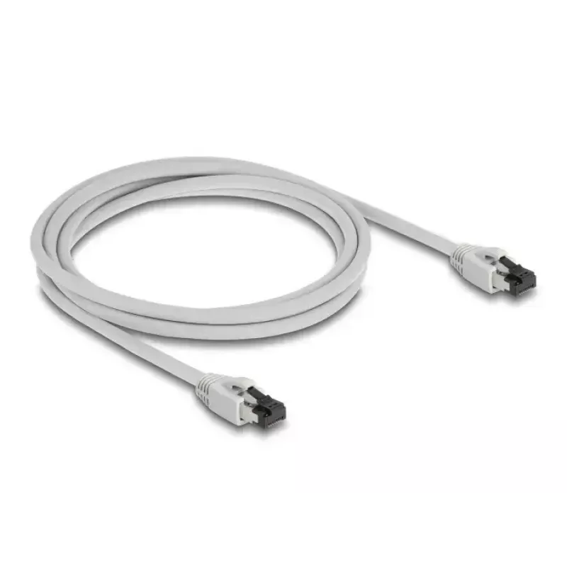 Võrgukaabel DeLOCK 80560 RJ-45 Cat8.1 2 m Hall