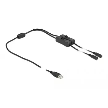 USB Type-A-pistik 2 x DC 5.5 x 2.1 mm emasele lülitiga 1 m DeLOCK 86797