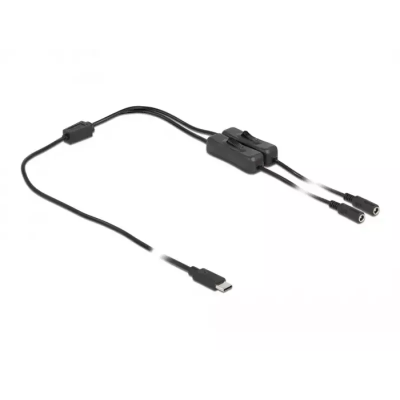 Kaabel USB USB-C isane 2 x DC 5.5 x 2.1 mm emasesse lülitiga DeLOCK 86800