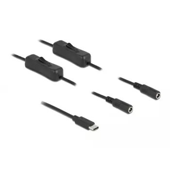 Kaabel USB USB-C isane 2 x DC 5.5 x 2.1 mm emasesse lülitiga DeLOCK 86800