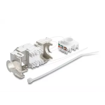 Keystone-moodul DELOCK 90938 — RJ-45 Cat.6A varjestatud lame keystone, valge