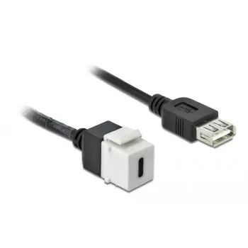 Keystone-moodul DeLOCK 86391 USB C lame must valge