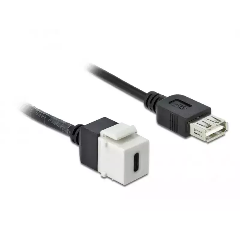 Keystone-moodul DeLOCK 86391 USB C lame must valge