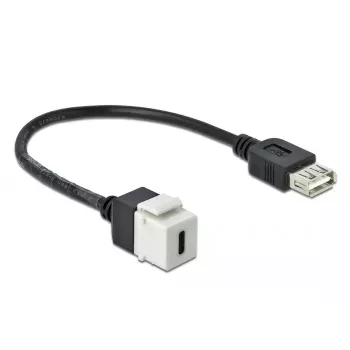 Keystone-moodul DeLOCK 86391 USB C lame must valge