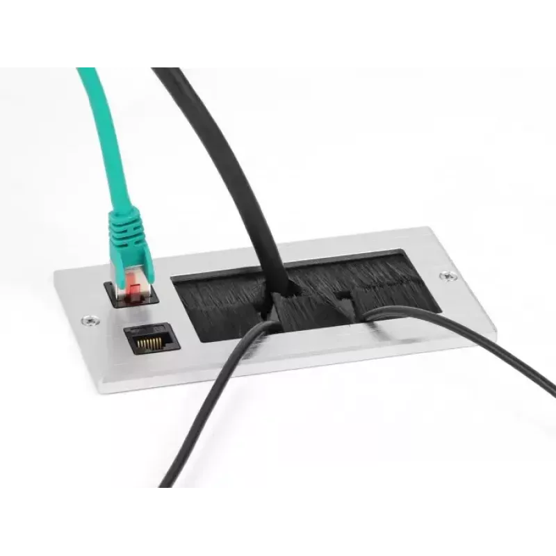 DeLOCK kaabliläbiviik harja ja 2 x RJ45 võtmemooduliga Cat.6, alumiinium