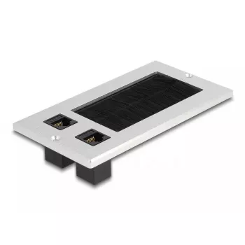 DeLOCK kaabliläbiviik harja ja 2 x RJ45 võtmemooduliga Cat.6, alumiinium