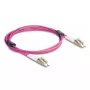 DeLOCK fiiberoptiline kaabel LC Duplex – LC Duplex OM4 2 m