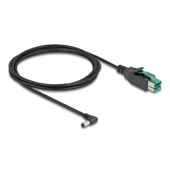 DeLOCK PoweredUSB-kaabel isane 12 V kuni DC 5,5 x 2,1 mm isane nurga all 2 m