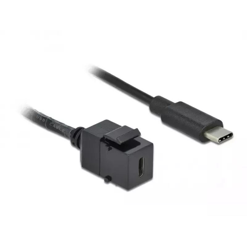 Keystone-moodul DeLOCK 86398 Lame Must USB C