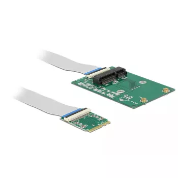 Liidesekaart DeLOCK 62848 Sisemine M.2 Mini PCI Express