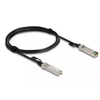 DeLOCK Twinax kaabel SFP+ isane - SFP+ isane 2 m 84204