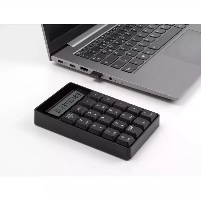 Numeric Keypad DeLOCK 12113 USB Must 20 Keys Universal