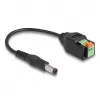 DeLOCK DC-kaabel 2,1 x 5,5 mm isane kuni 2-kontaktilise klemmiploki adapter 15 cm