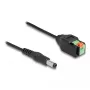 DeLOCK DC-kaabel 2,1 x 5,5 mm isane kuni 2-kontaktilise klemmiploki adapter 15 cm