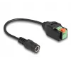 DeLOCK DC 2,1 x 5,5 mm pistikupesa 2-kontaktilise klemmiploki adapter 15 cm
