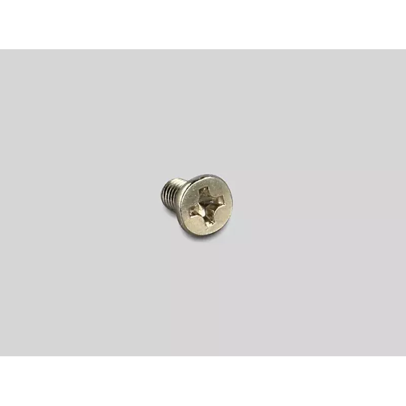 Sisemine M.2-adapter DeLOCK 62584