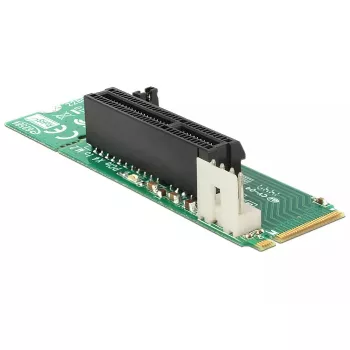 Sisemine M.2-adapter DeLOCK 62584