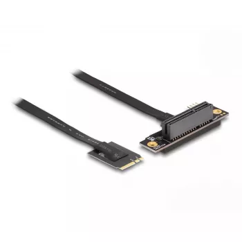 DeLOCK M.2 Key A+E PCIe x4 NVMe adapter, nurga all, 20 cm kaabel