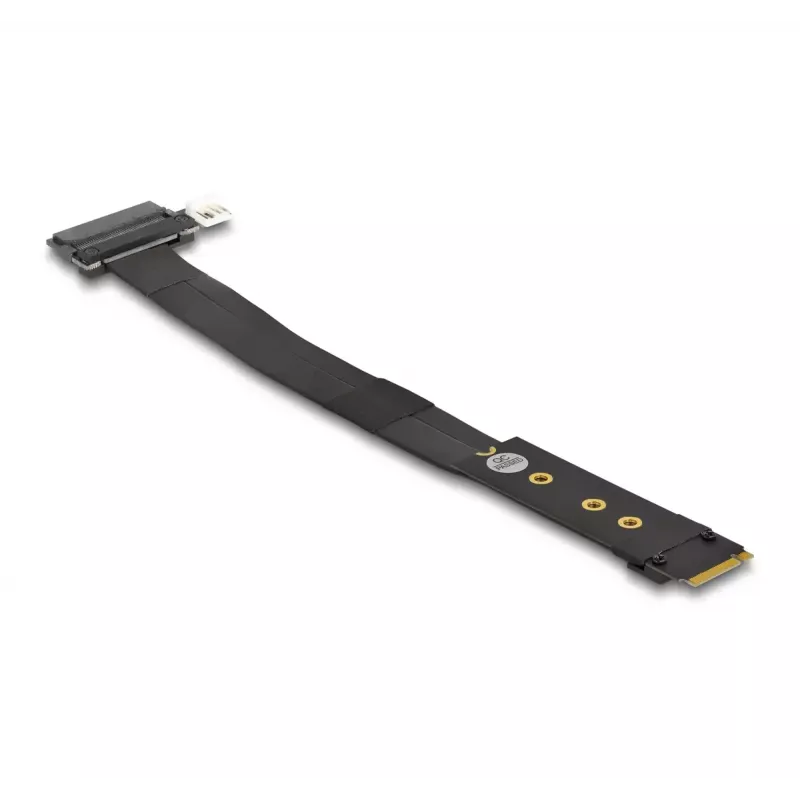 DeLOCK M.2 Key M to U.2 SFF-8639 NVMe adapter 20 cm kaabliga