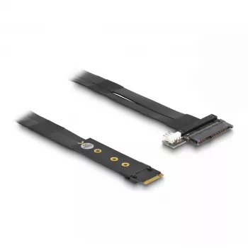 DeLOCK M.2 Key M to U.2 SFF-8639 NVMe adapter 20 cm kaabliga