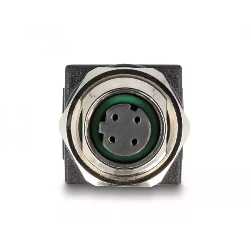 DeLOCK M12 adapter D-kodeeritud 4 kontaktiga emane RJ45 pesa otse