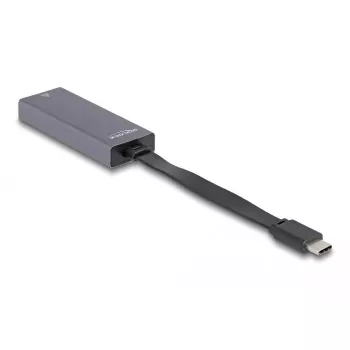 DeLOCK 66248 kaablisoo vahetaja RJ-45 USB C Hall 0,09 m
