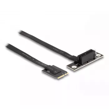 DeLOCK M.2 Key A+E to PCIe x1 NVMe adapter nurga all 20 cm kaabel