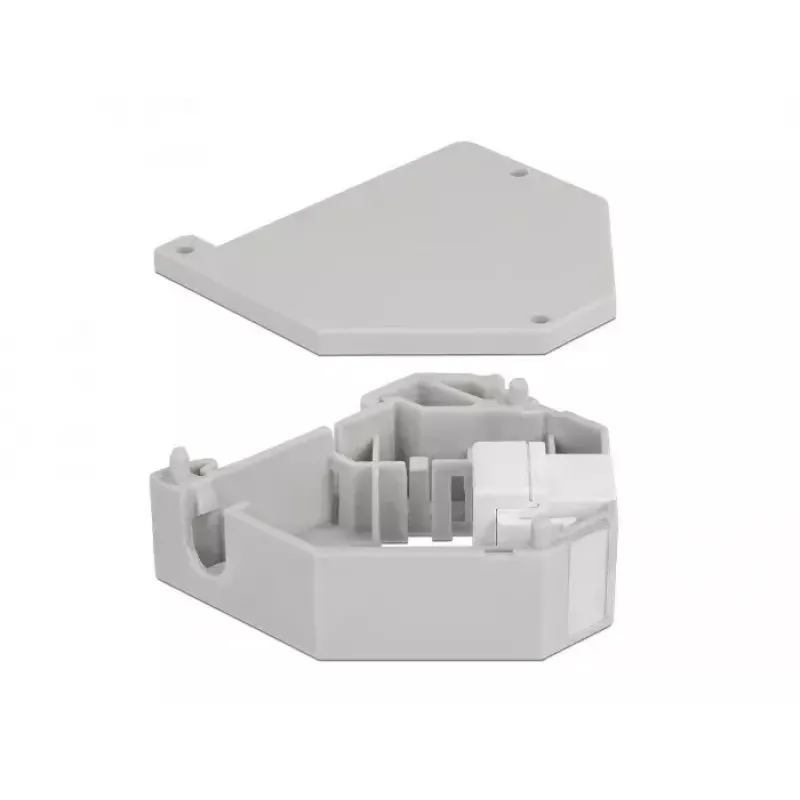 Keystone-moodul DELOCK 87163 — USB A kuni USB A, hall/valge, 60.1×59.4×21.6 mm