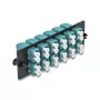 DeLOCK kiudoptiline adapterpaneel LC Duplex OM4 12 porti akvavärvi
