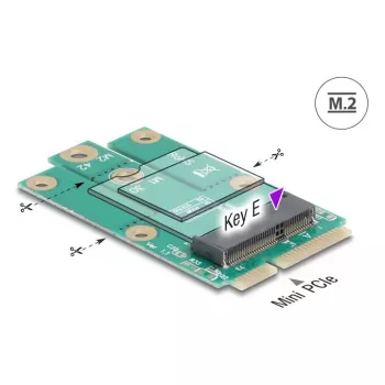 DeLOCK 64338 sisemine M.2 adapter Mini PCI Express isane