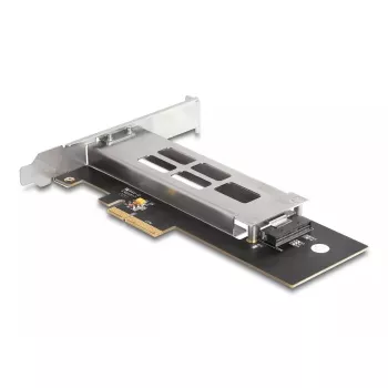 DeLOCK mobiilne salv PCI Express kaart ühele M.2 NVMe SSD-le, madalprofiil