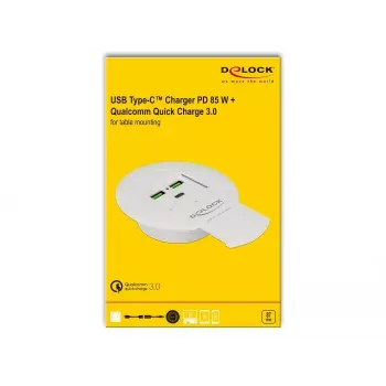 Laadija DeLOCK 64065 mobiilseadme laadija Nutitelefon Valge