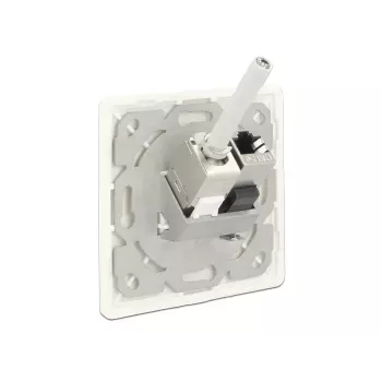 Pistikupesa RJ-45 DeLOCK 86219
