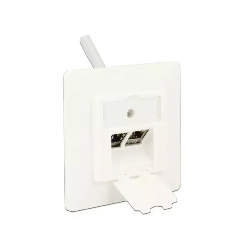 Pistikupesa RJ-45 DeLOCK 86219