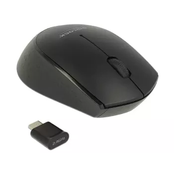 Hiir DeLOCK 12526 RF juhtmevaba optiline 1000 DPI
