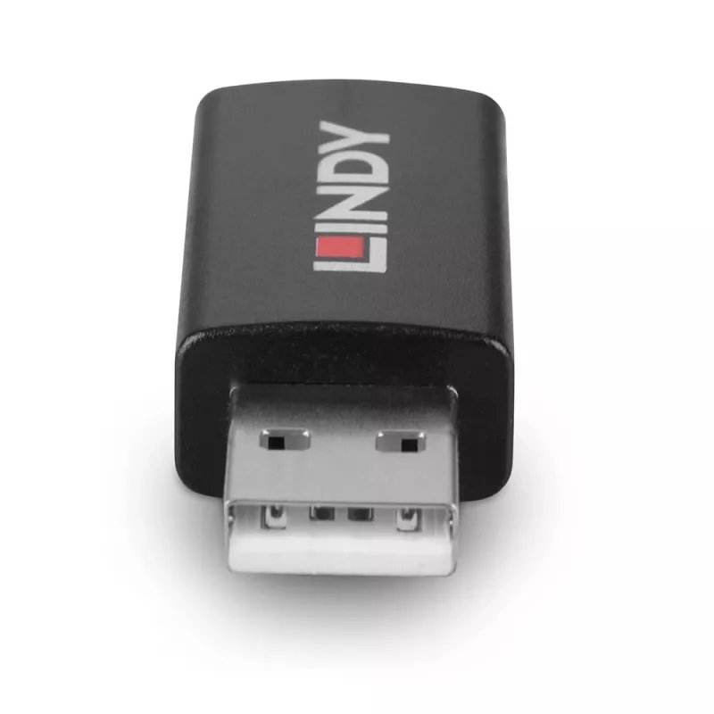 Lindy 71263 kaabli soovahetaja USB Type A must