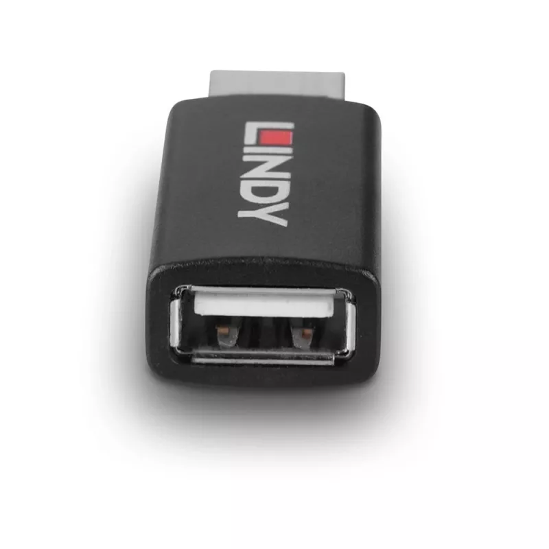 Lindy 71263 kaabli soovahetaja USB Type A must