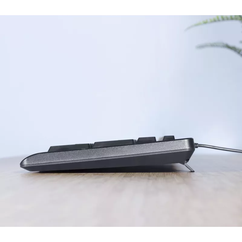 Trust TKM-250 klaviatuur Hiir kaasas Kontor USB QWERTZ Saksa Must