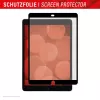Paberilaadne ekraanikaitse Displex TABLET PAPERSENSE iPad 7/8/9 põlvk. ja iPad Air 3 jaoks, matt 10,5 tolli (26,7 cm), 3H, eemaldatav