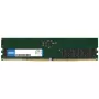 Origin Storage 16GB DDR5 5600MHz UDIMM 1Rx8 Non-ECC 1.1V, 16 GB, 1 x 16 GB, DDR5, 5600 MHz, 288-pin DIMM
