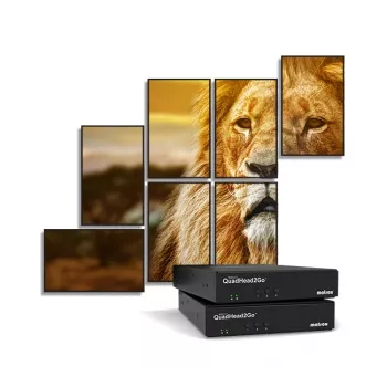 Matrox QuadHead2Go Q155 mitme monitori kontrolleri seade / Q2G-H4K2