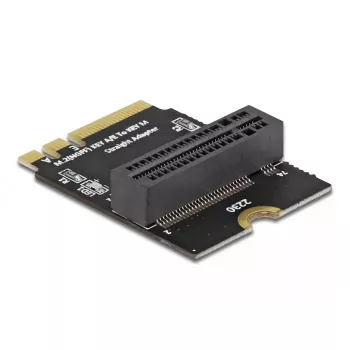Adapter M.2 key A+E male to key M slot nurgaga with holder DeLOCK 64137