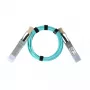 BlueOptics InfiniBand/kiudoptiline kaabel QSFP56 kuni QSFP56 5 m (oranž)