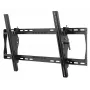 Peerless ST650P telerikinnitus/seisu 190,5 cm (75 tolli) Must