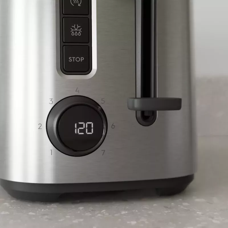 Röster Electrolux 910003704 E5T1-4ST 2 viilu 800 W roostevaba teras