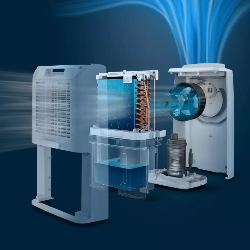 Philips 3000 seeria DE3306/11 õhukuivati 4 L 51 dB valge, helehall