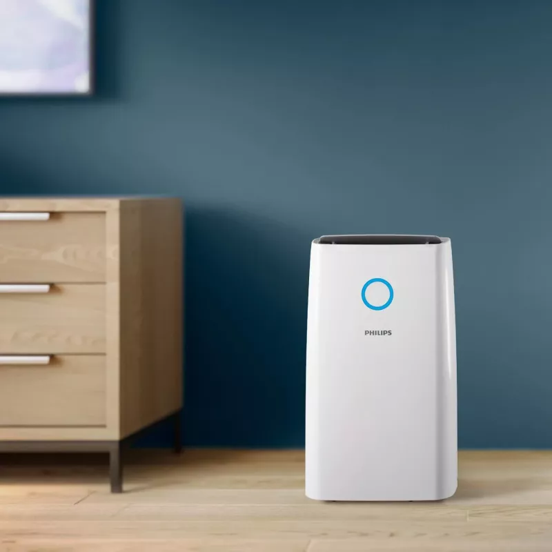 Philips 3000 seeria DE3306/11 õhukuivati 4 L 51 dB valge, helehall